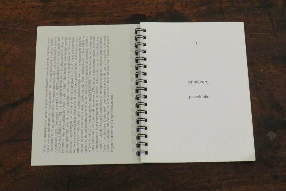 GIANCARLO PAVANELLO. Poesia laconica. [novembre 1999-febbraio 2000].