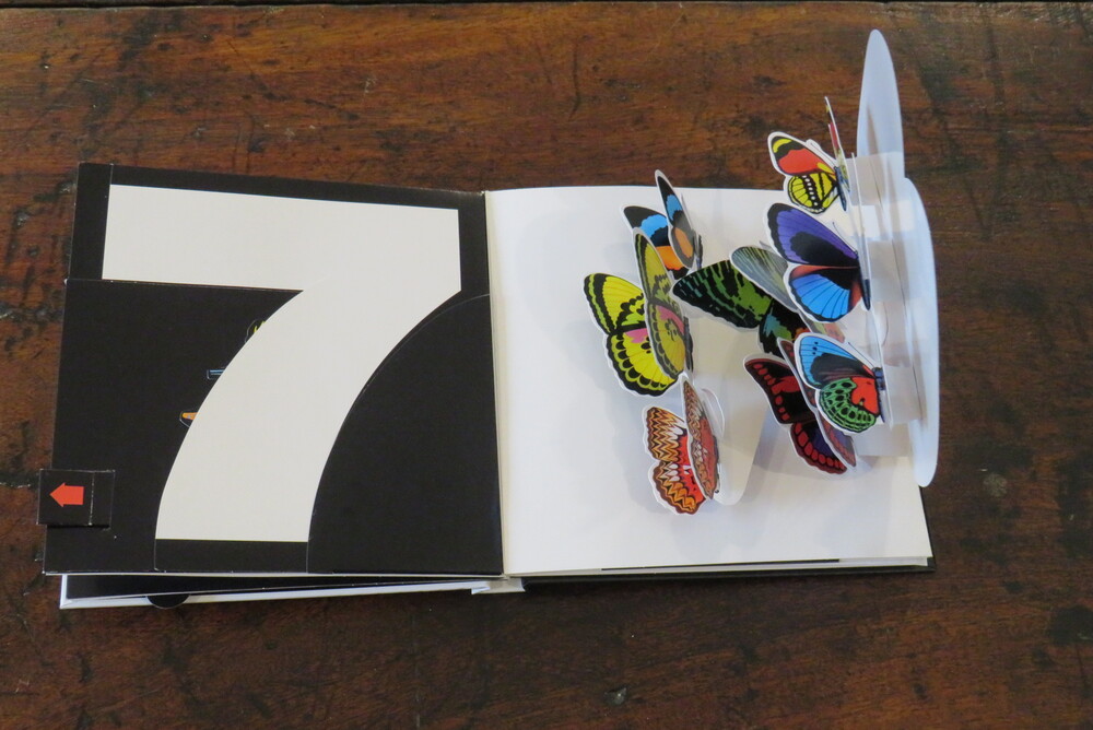 CHUCK MURPHY. Da uno a dieci. Sorprese pop-up.