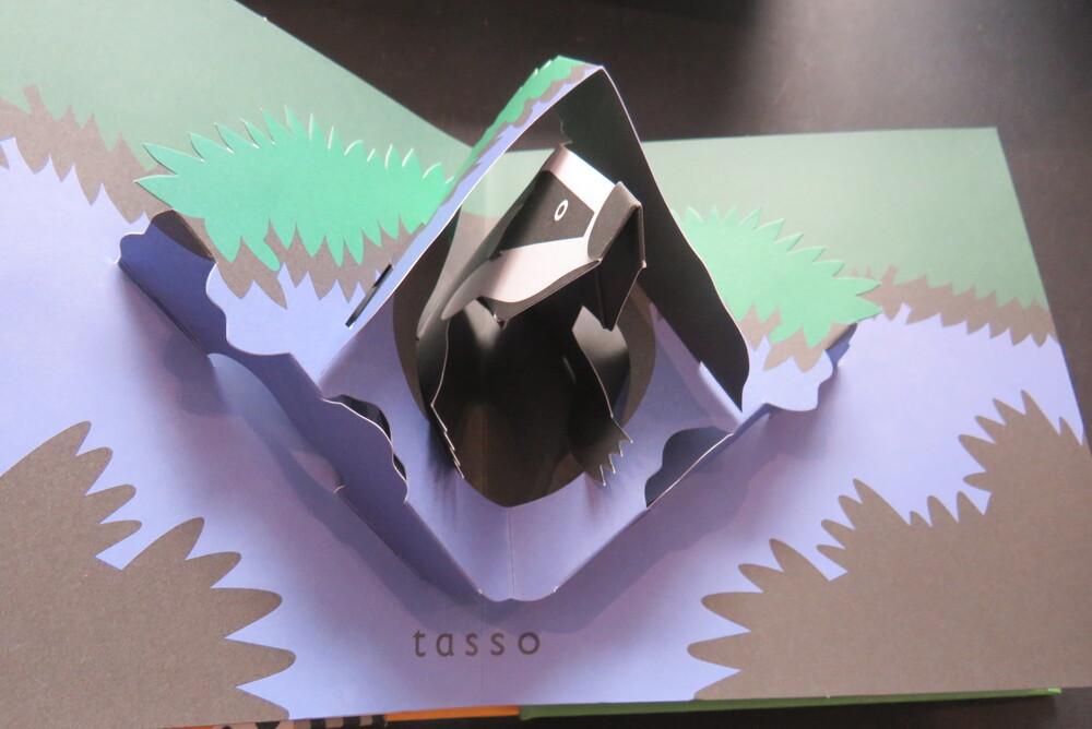 DAVID PELHAM. Punto & Linea. Sculture di carta pop-up di David Pelham.