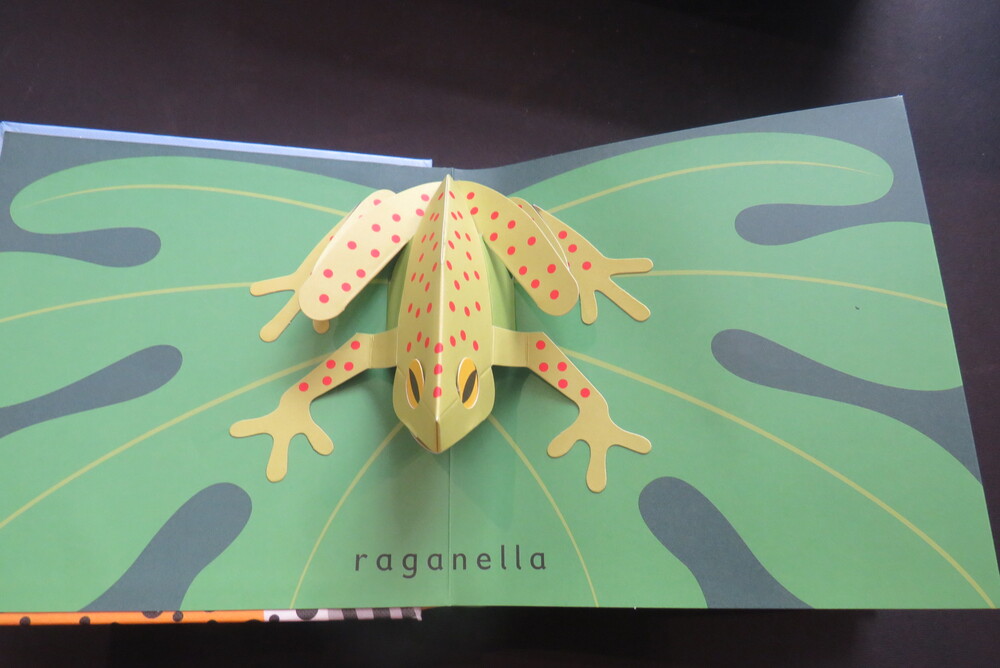 DAVID PELHAM. Punto & Linea. Sculture di carta pop-up di David Pelham.