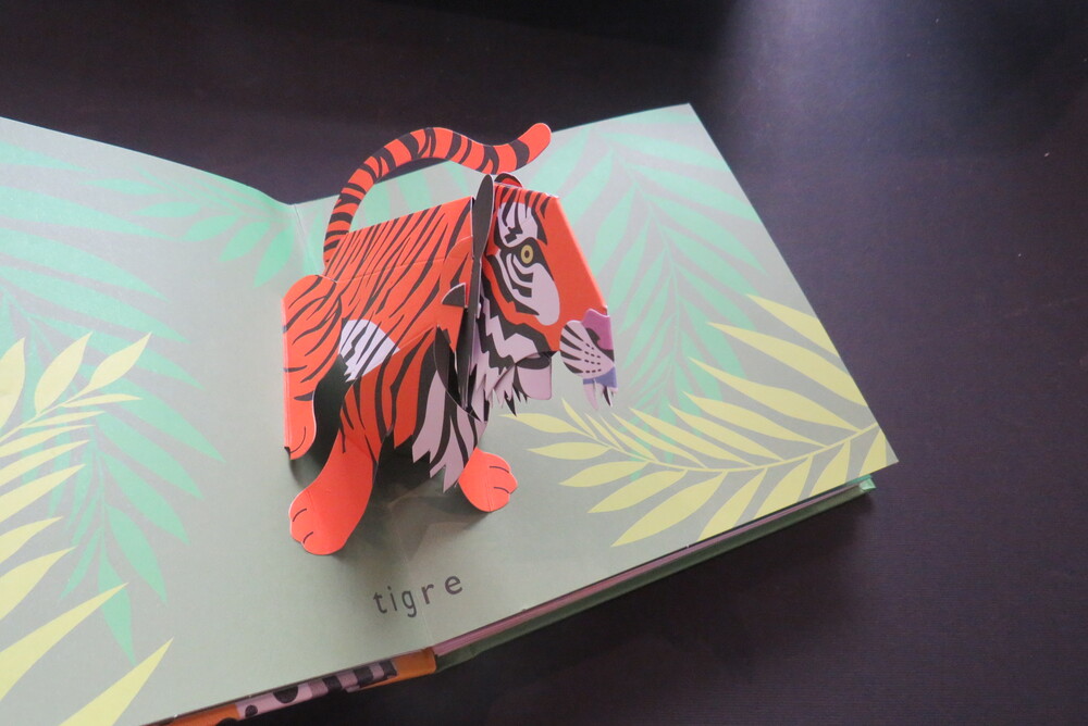 DAVID PELHAM. Punto & Linea. Sculture di carta pop-up di David Pelham.
