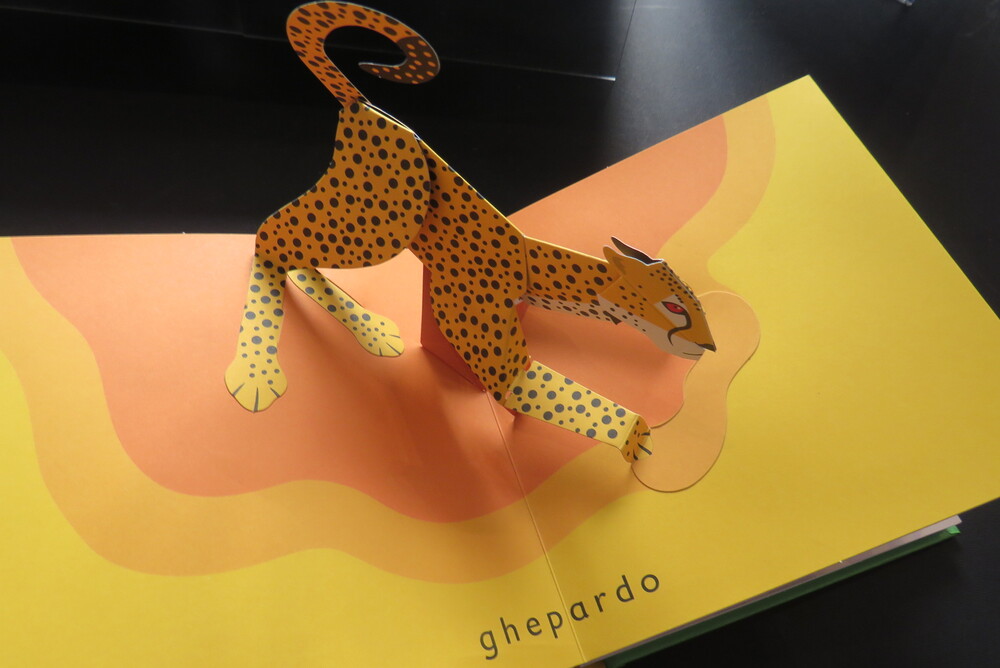 DAVID PELHAM. Punto & Linea. Sculture di carta pop-up di David Pelham.