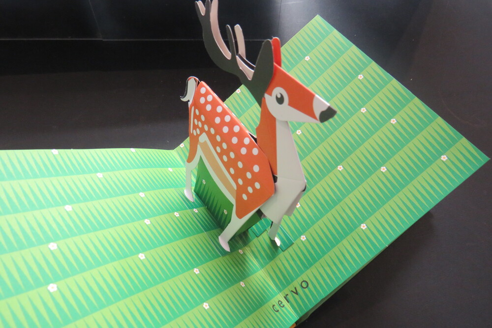 DAVID PELHAM. Punto & Linea. Sculture di carta pop-up di David Pelham.