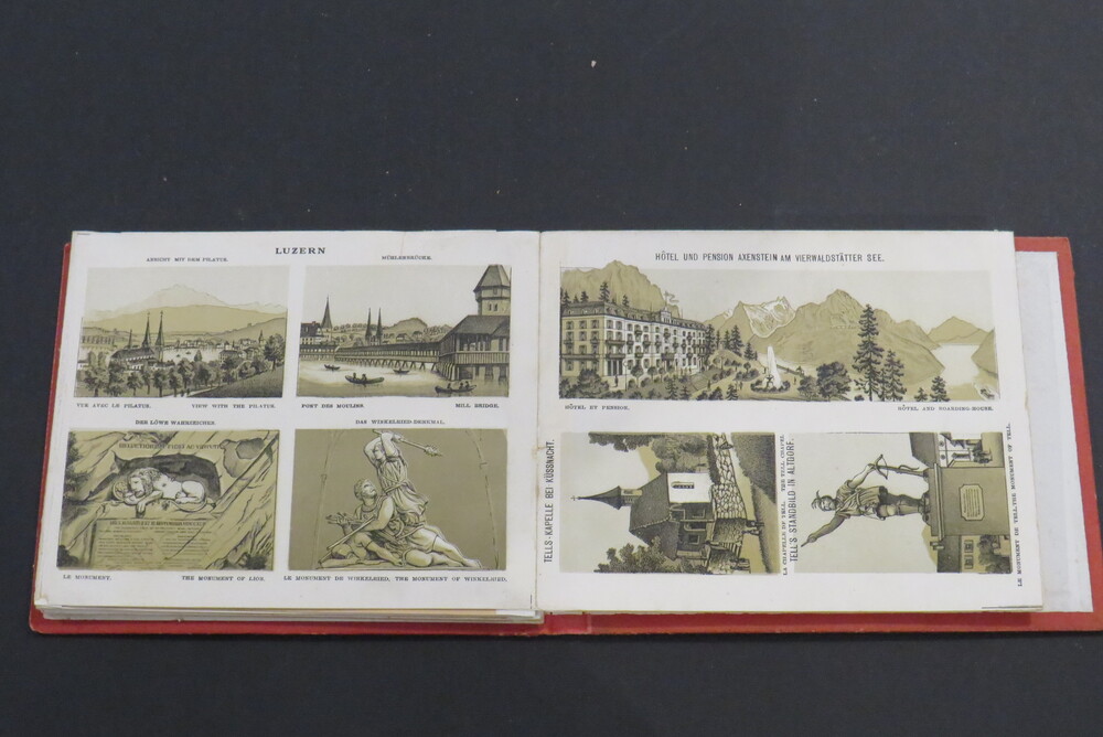 (ALBUM SVIZZERA). LA SUISSE.
