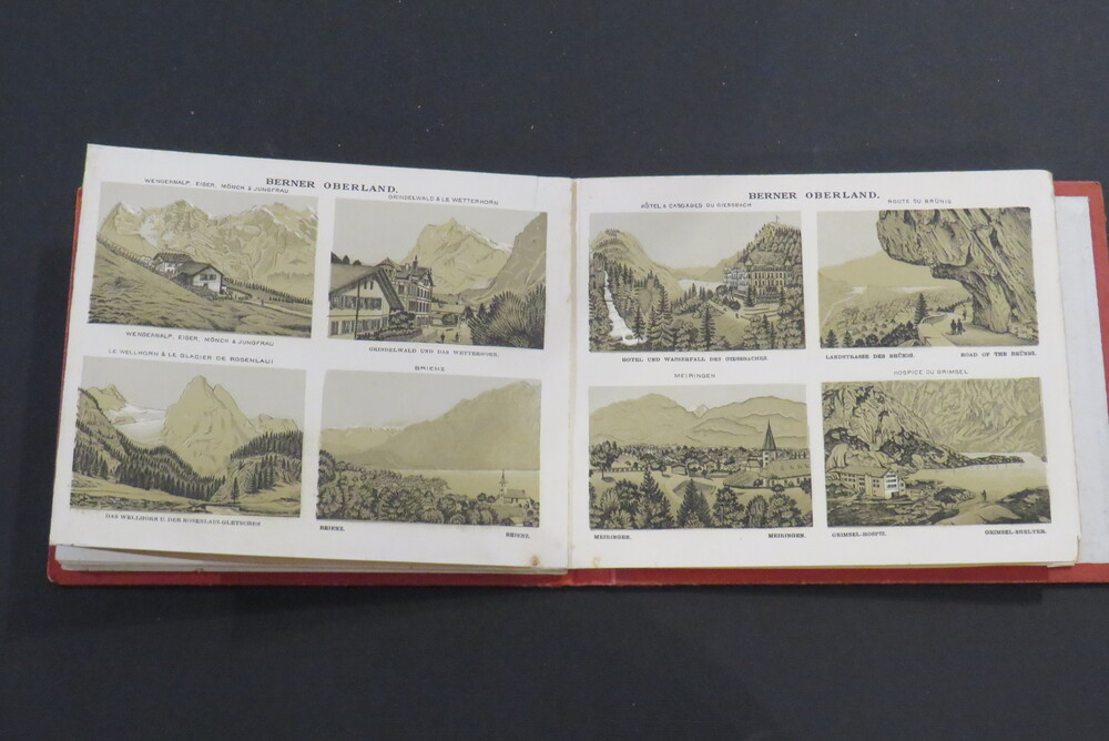 (ALBUM SVIZZERA). LA SUISSE.