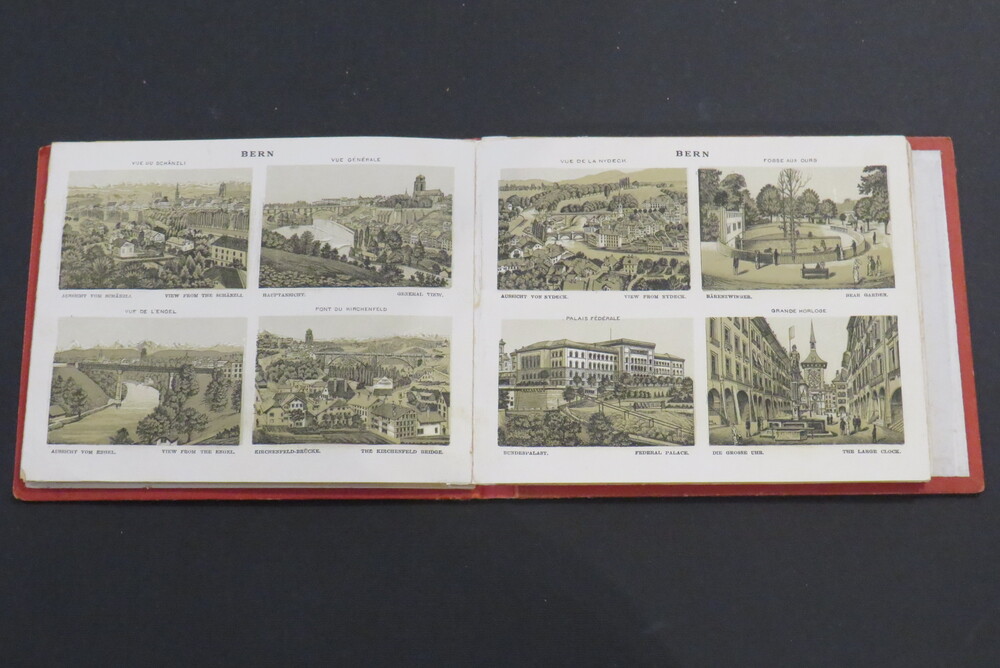 (ALBUM SVIZZERA). LA SUISSE.