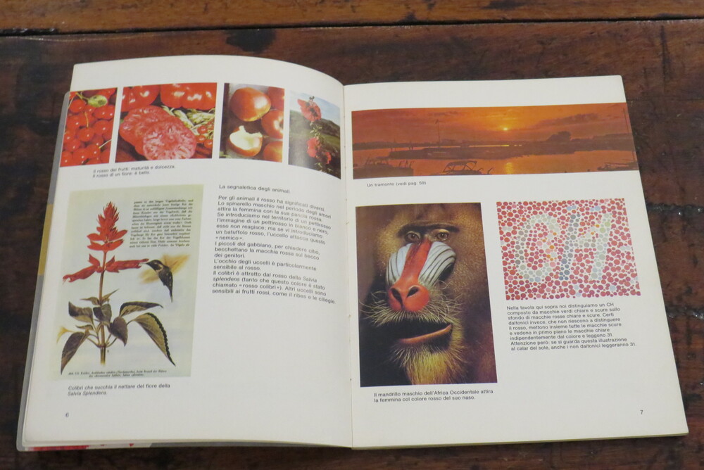 BRUNO MUNARI. il rosso.