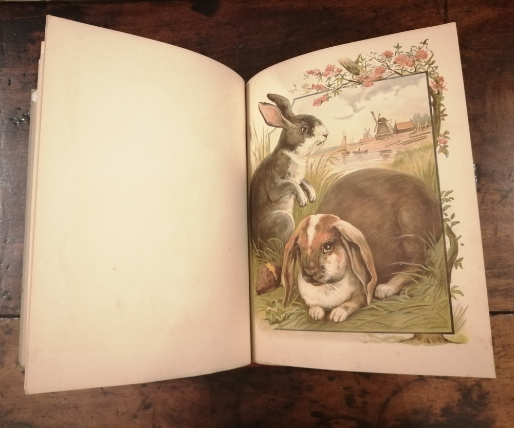 H. DE SAINT-SYLVESTRE. Les animaux domestiques