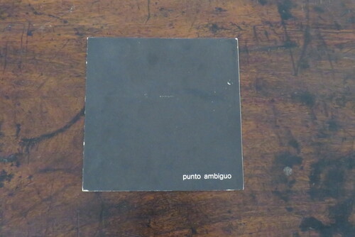 libri MIRELLA BENTIVOGLIO. Punto ambiguo.