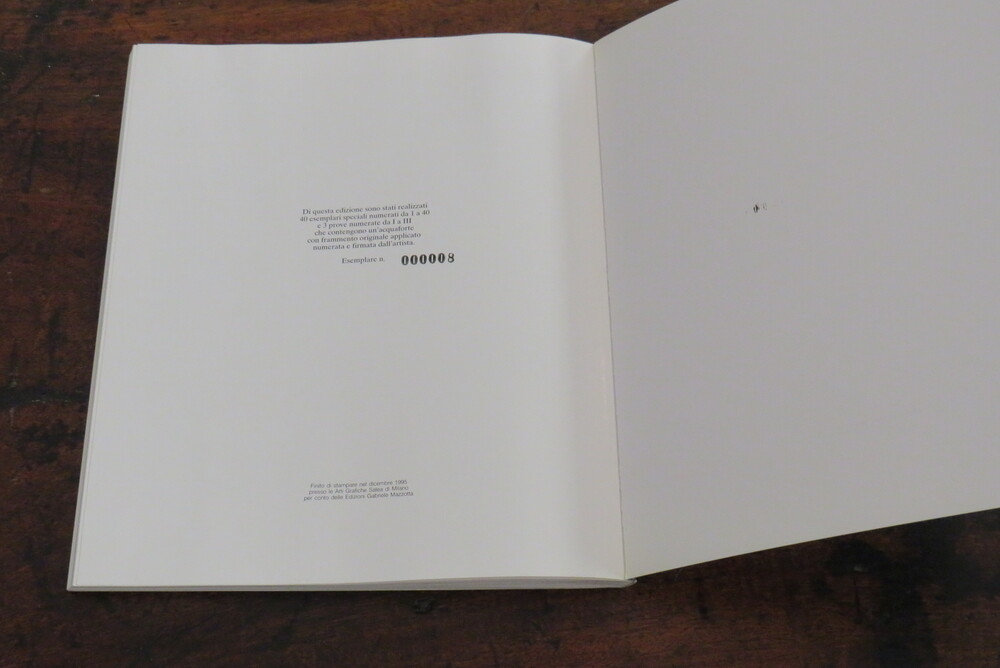 WILLIAM XERRA. La soglia del visibile.