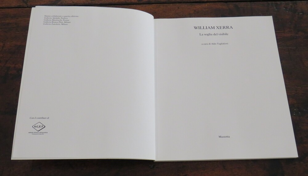 WILLIAM XERRA. La soglia del visibile.