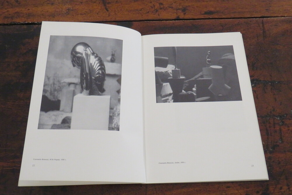 LILIANA DEMATTEIS, GIOVANNI BATTISTA MARTINI, ALBERTO RONCHETTI. L’artista e la fotografia. Avanguardia e sperimentazione fra le due guerre.